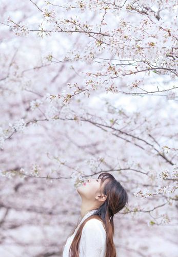 免费观看折腰电视剧完整版