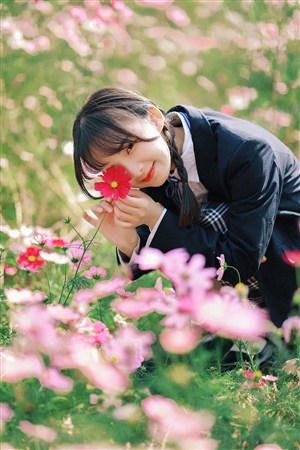 缘之空樱花动漫